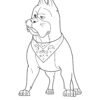 Ace Super Pet coloring page