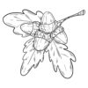 Acorn on a brach coloring page
