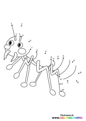 Ant dot the dots worksheet