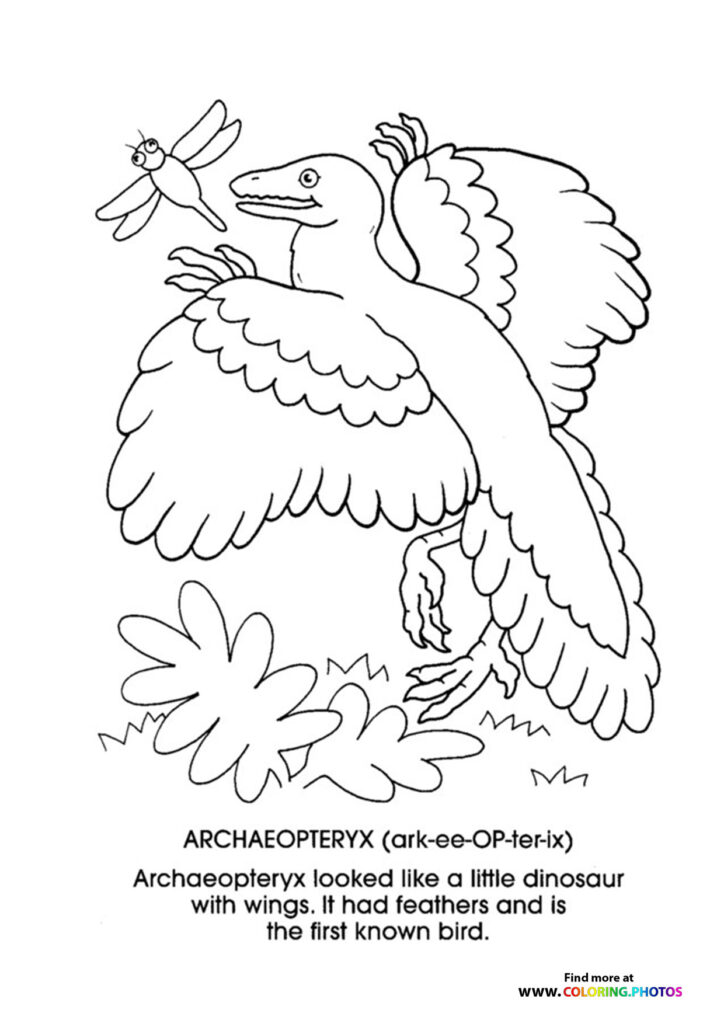 Archaeopteryx, the first known bird with feathers and dinosaur features, catching a dragonfly coloring page