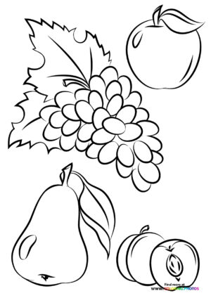 Autumn fruits coloring page