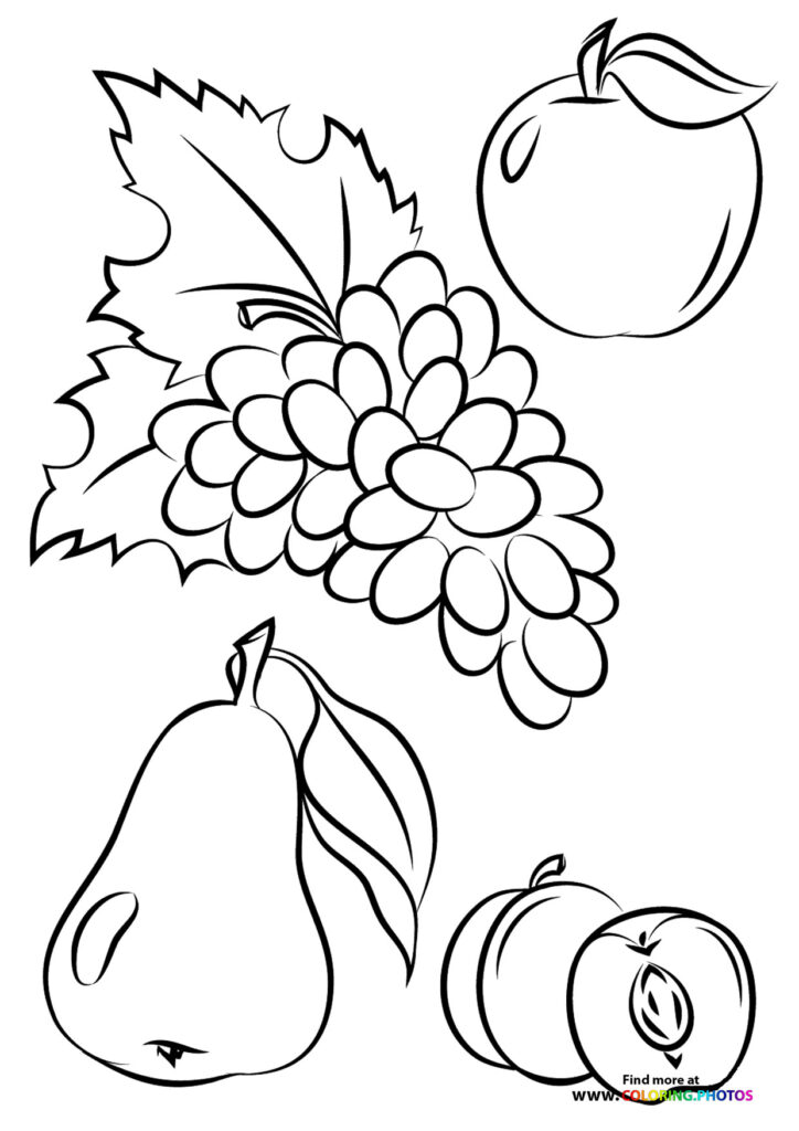 Apple, pear, grapes, and grape leaf autumn harvest coloring page
