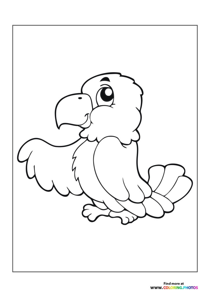 Fluffy baby eagle with big eyes and curved beak sitting down coloring page
