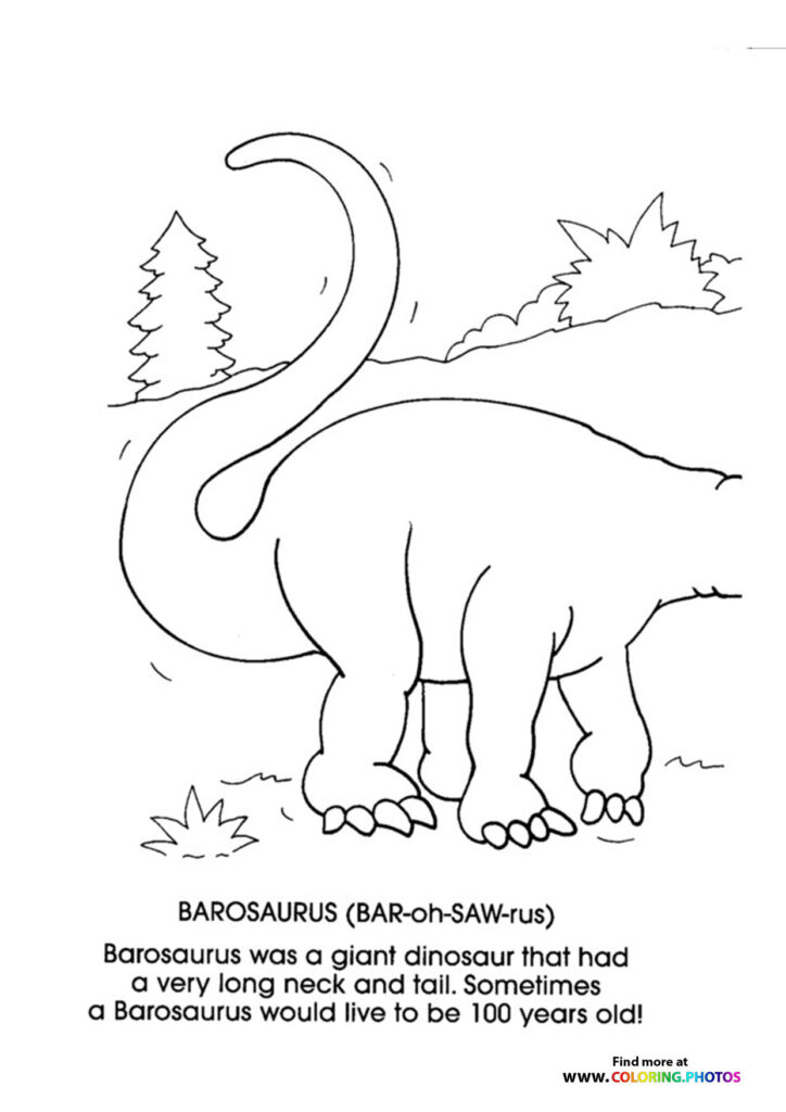 Barosaurus dinosaur with long curved neck and tail reaching toward trees, standing on four thick legs, coloring page