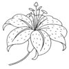 Beautiful Easter Lily coloring page
