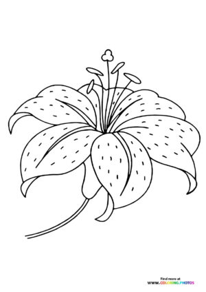 Beautiful Easter Lily coloring page