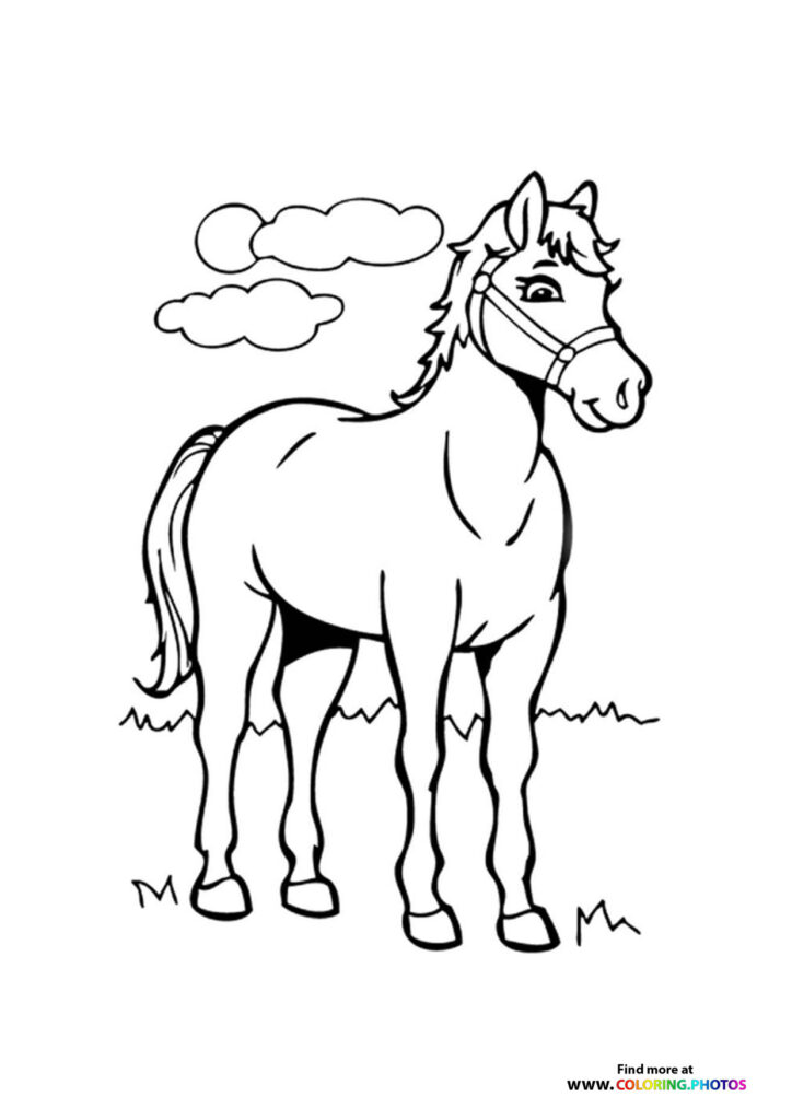 Horse wearing a halter standing in grass with clouds in the sky coloring page