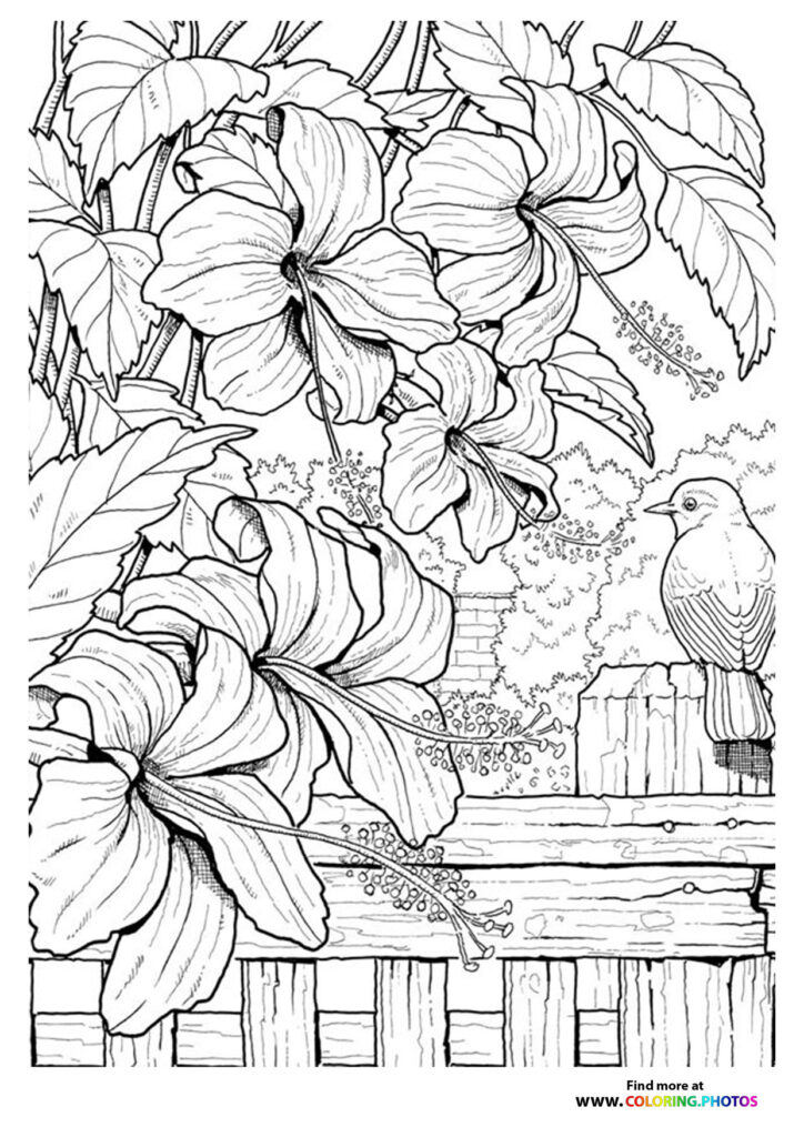 Small bird perched on wooden fence with large flowering vines and delicate blooms coloring page