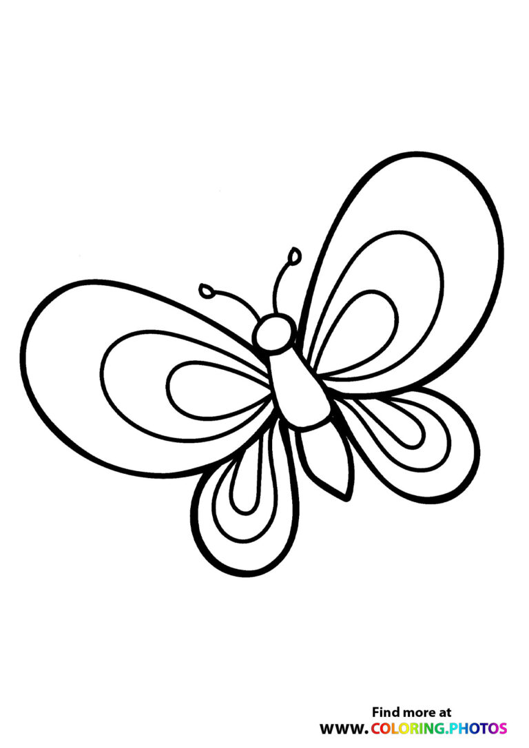 Butterflys - Coloring Pages for kids | Free and easy print or download