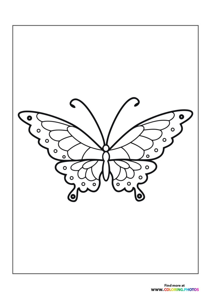 Butterflys Coloring Pages For Kids Free And Easy Print Or Download