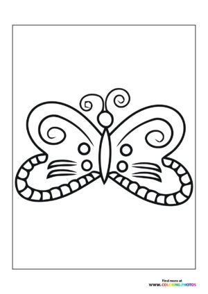 Butterfly with nice wings