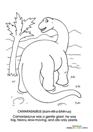 Camarasaurus