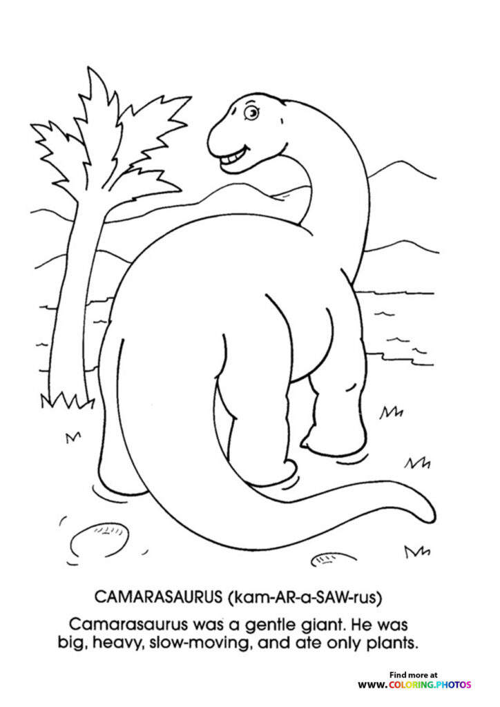 Camarasaurus dinosaur eating from a tall tree with long neck and tail coloring page