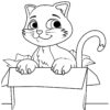 Cat in a box coloring page