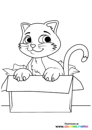 Cat in a box coloring page