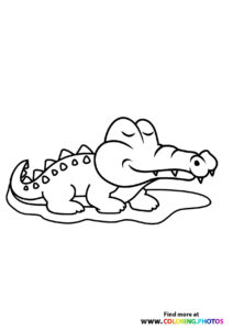 Crocodiles