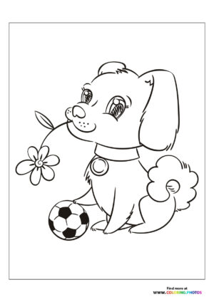 Cute dog with football