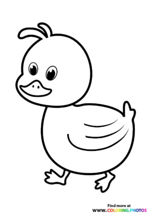 Duck going for a walk coloring page