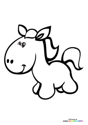Cute little horse
