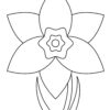 Easter Daffodil coloring page