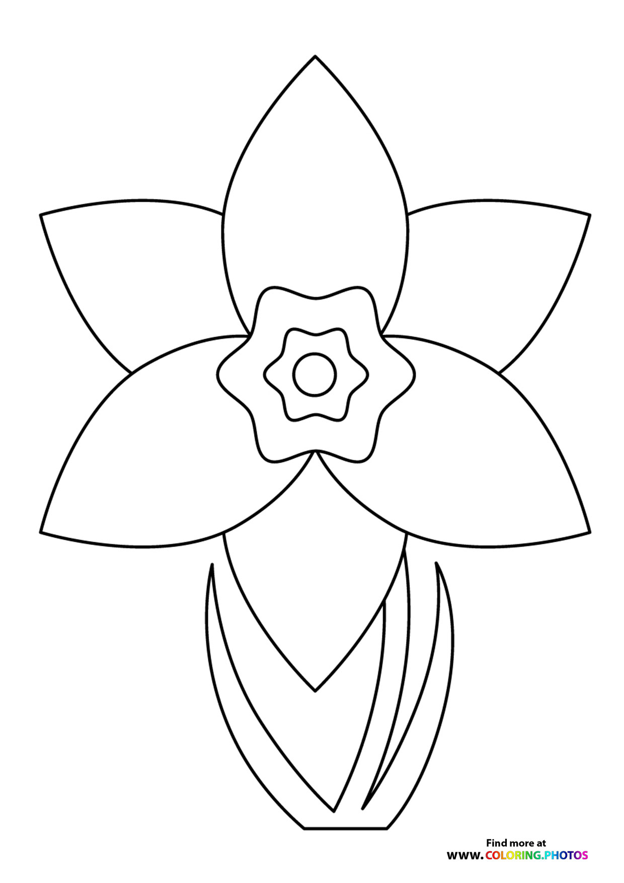 Easter Daffodil - Coloring Pages for kids