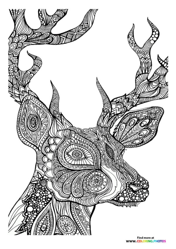 Deer coloring page for adults