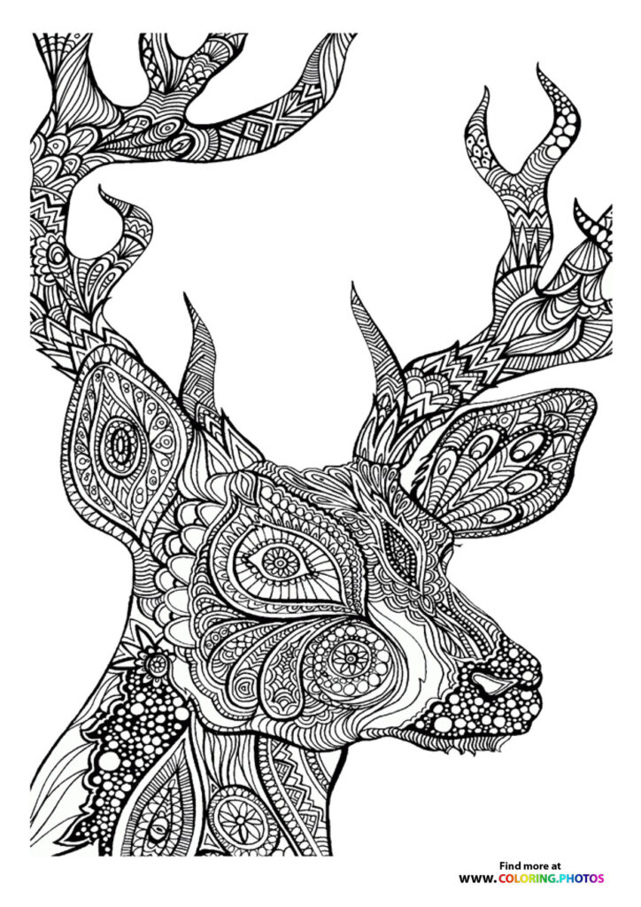 Ornamental deer head with decorative patterns, geometric designs, and curved antlers coloring page for adults