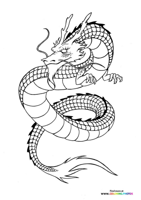 Chinese dragon coloring for adults