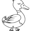 Wild duck coloring page