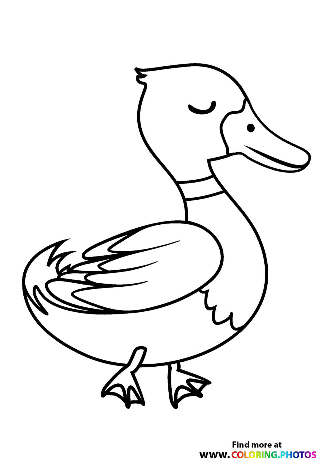 Wild duck - Coloring Pages for kids