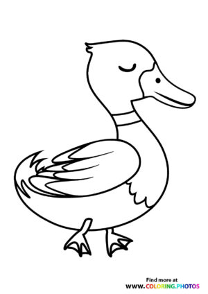 Wild duck coloring page