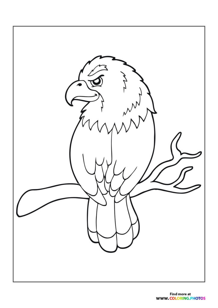 Bald eagle perched on a branch with detailed feathers and fierce expression coloring page