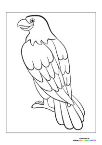 Eagles