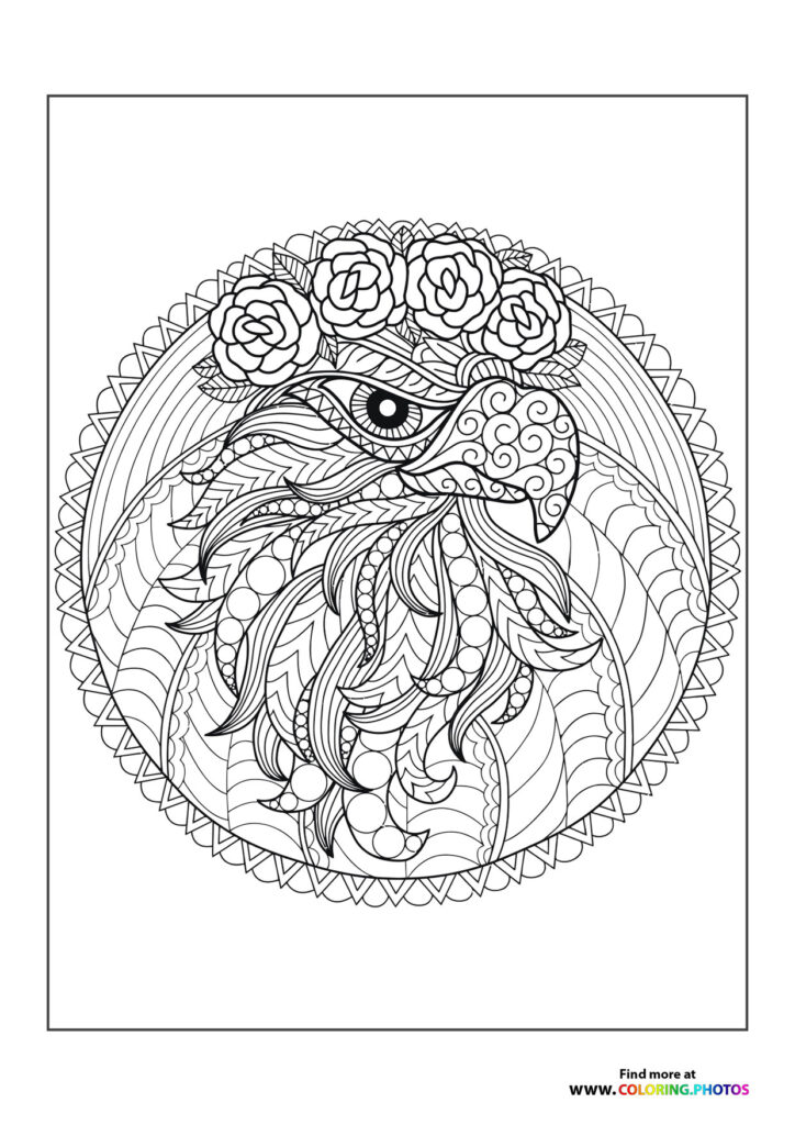 Ornamental eagle head with roses and decorative patterns coloring page