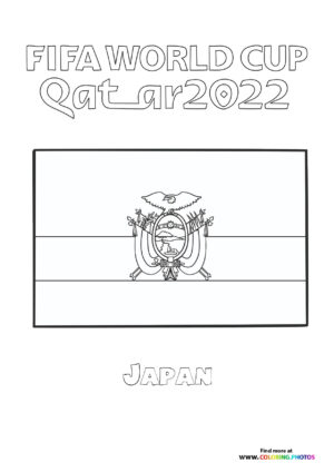 Ecuador World Cup flag