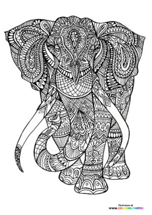 Elephant coloring page for adults