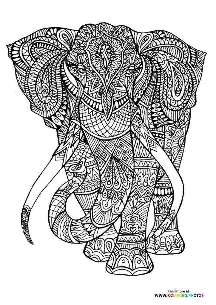 Coloring pages for adults - Animals | Free and easy print or download