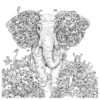 Elephant and animals coloring page for adults