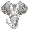 Indian elephant coloring page for adults