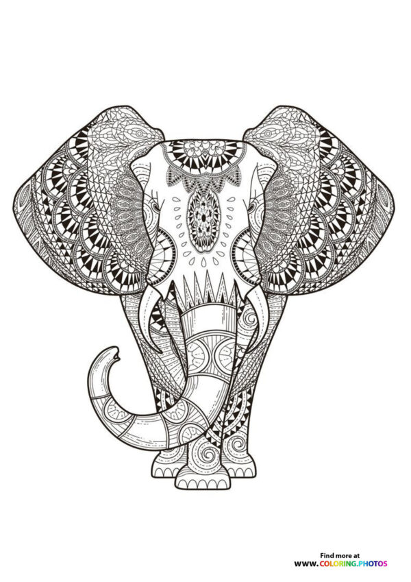 Indian elephant coloring page for adults