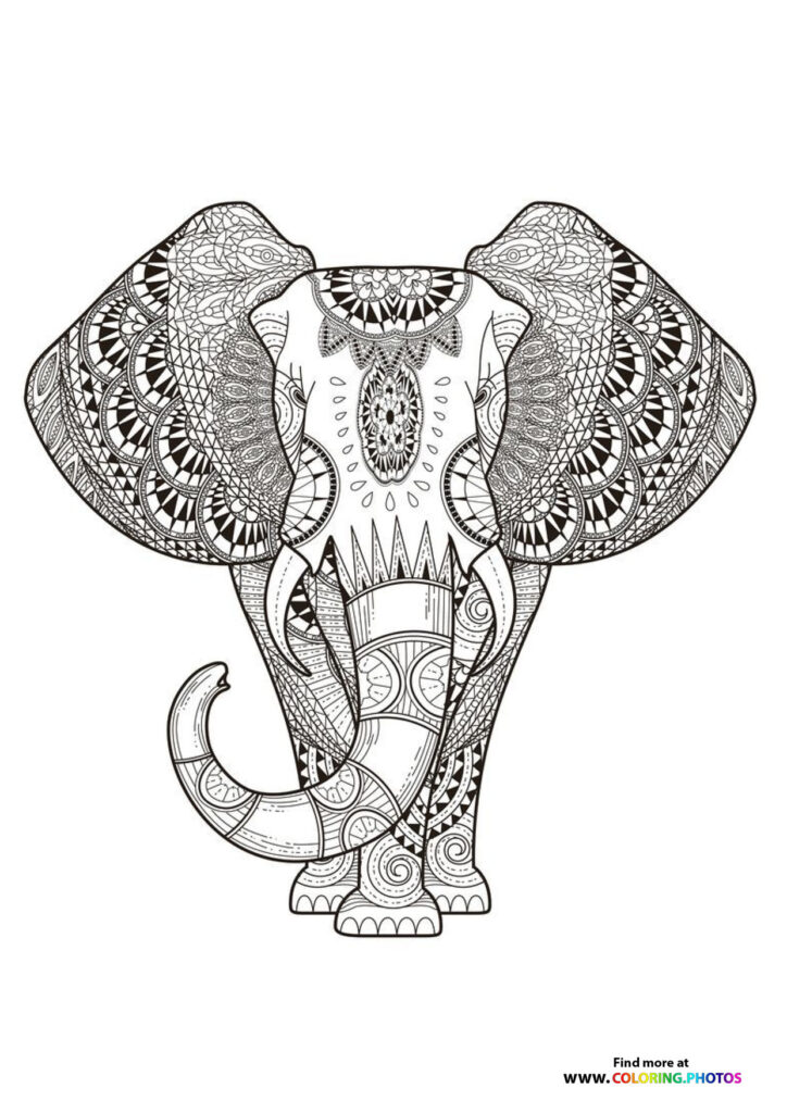 Coloring pages for adults - Animals | Free and easy print or download