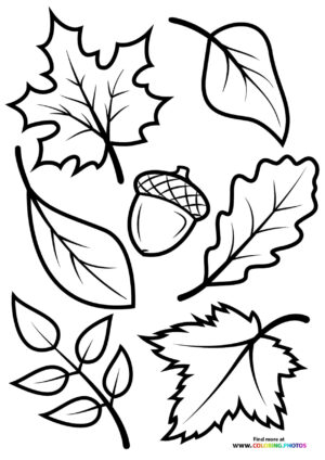 Fall leaves coloring page