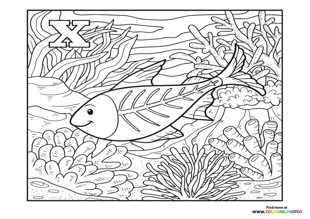 A smiling tropical fish swimming among coral and seaweed on an underwater reef coloring page