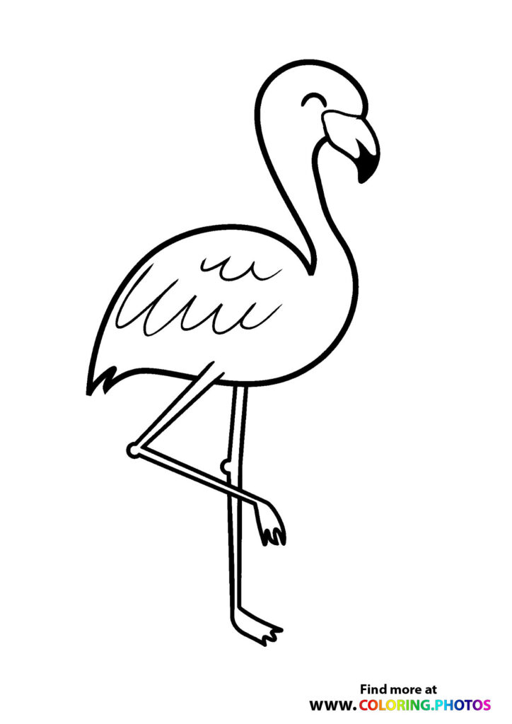 A standing flamingo with curved neck and beak, long thin legs, and feathered body coloring page