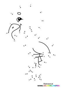 Flamingo dot the dots - Coloring Pages for kids