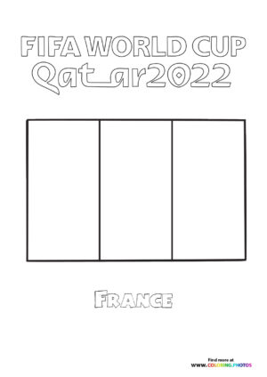 France World Cup flag