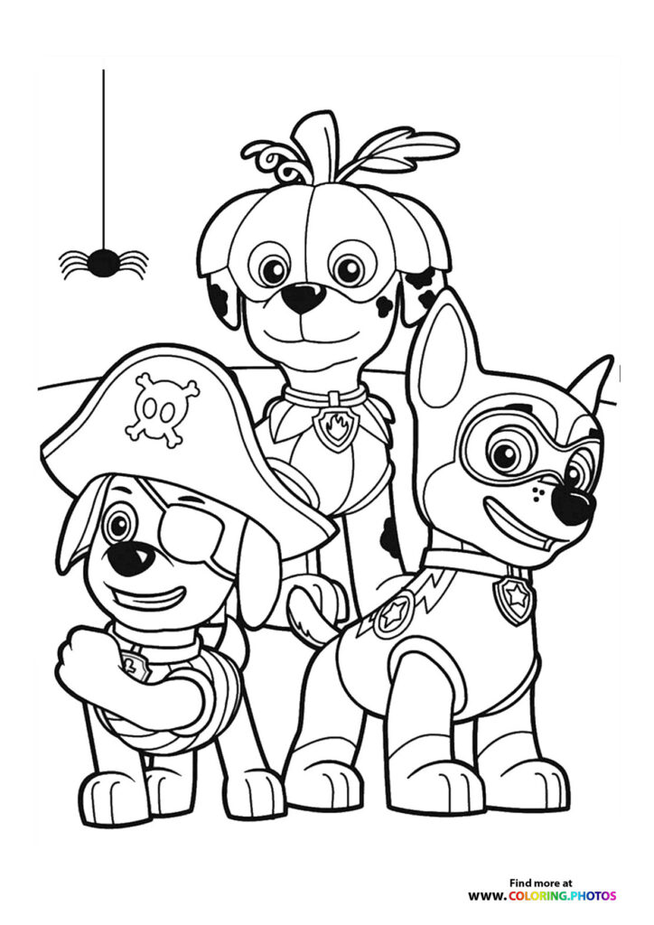 Three Paw Patrol pups in Halloween pirate costumes with a hanging spider coloring page