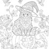 Cute hallween cat - Adult coloring coloring page