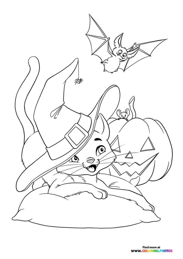 Cute hallween cat playing with a bat coloring page