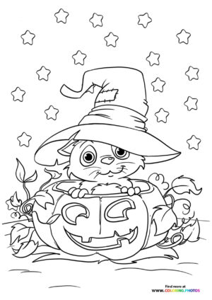 Hallween cat in a pumpkin coloring page